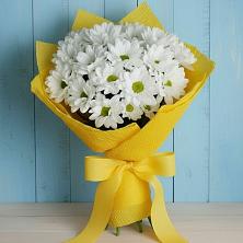 Букет цветов из:  Хризантемы в Рамони