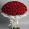 Букет 101 Красная роза Блэк Мэджик в Рамони