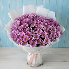 Букет цветов из:  Хризантемы в Рамони