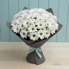 Букет цветов из:  Хризантемы #REPLACE_PRED# Рамони