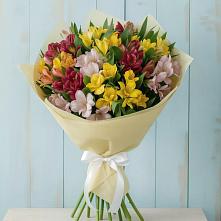 Букет цветов из:  Альстромерии #REPLACE_PRED# Рамони