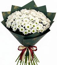 Букет цветов из:  Хризантемы в Рамони