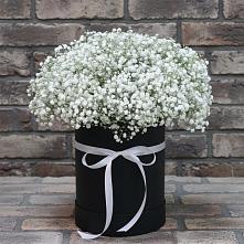 Цветочная композиция из Гипсофила в шляпной коробке #REPLACE_PRED# Рамони