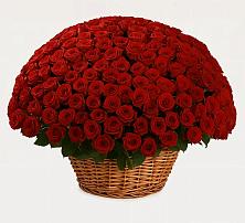 Премиум букет из: Розы в Рамони