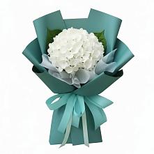 Букет цветов из:  Гортензия #REPLACE_PRED# Рамони